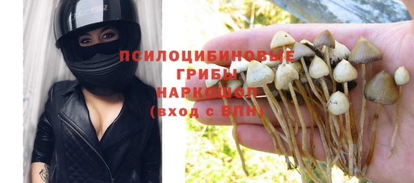бутират Ельня