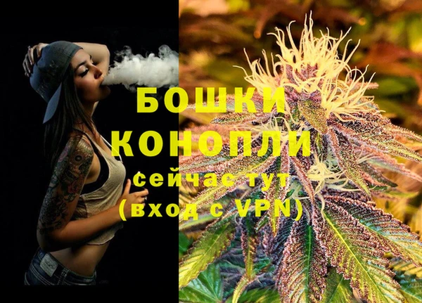 не бодяженный Елабуга