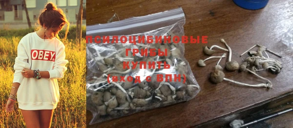 не бодяженный Елабуга