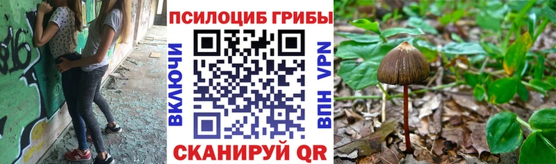 Галлюциногенные грибы Psilocybine cubensis  Купить где  Верхняя Тура 
